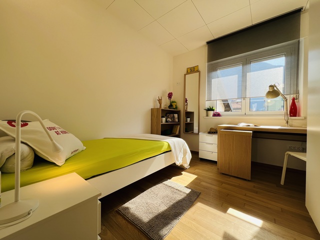 Spaziosa singola in appartamento moderno per studenti universitari